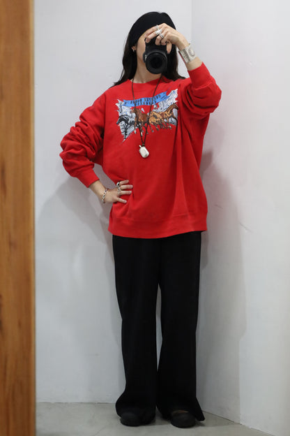 D323 / 1990's HANES print sweat