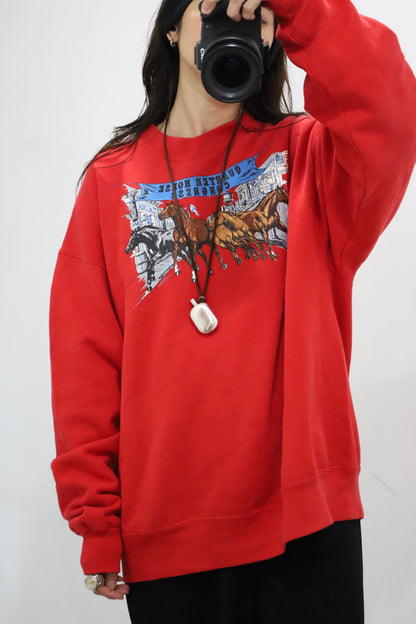 D323 / 1990's HANES print sweat