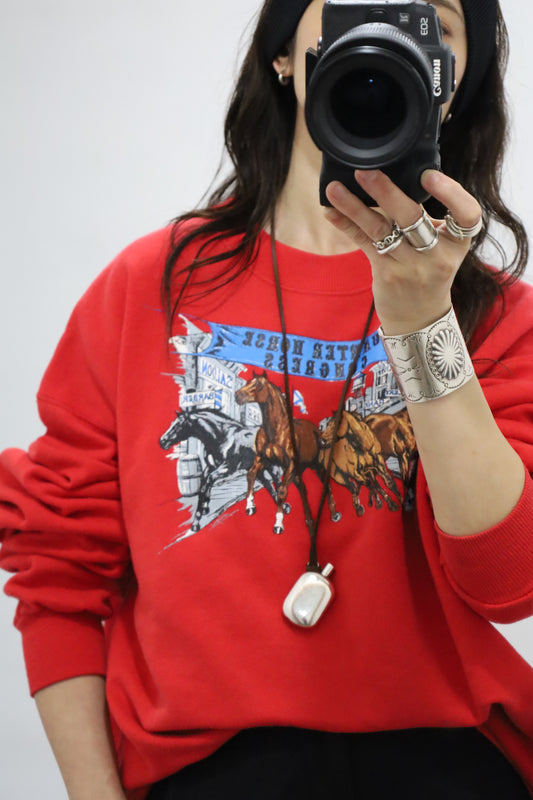 D323 / 1990's HANES print sweat