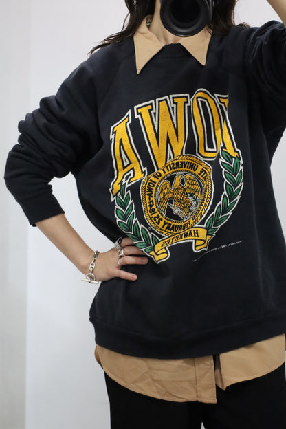 D332 / 1980's Tultex IOWA print sweat