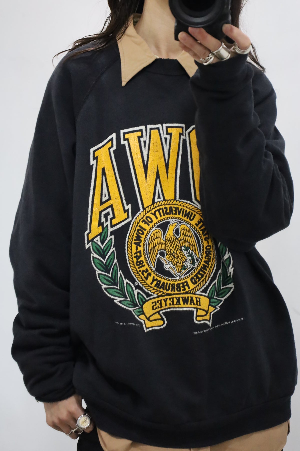 D332 / 1980's Tultex IOWA print sweat