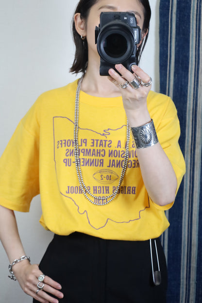A352 / 1990's JERZEES BRIGGS HIGH SCHOOL TEE