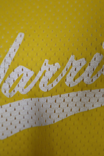 E222 / 1990's OLD CALIFORNIA flesh MESH TANKTOP