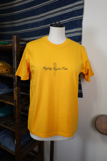 Z158 / early 2000's Hanes Print T-Shirt