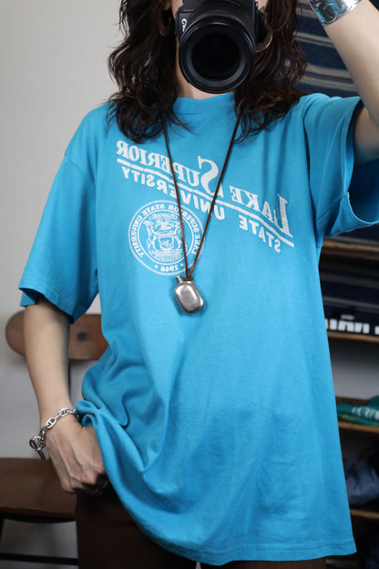 B479 / 1990's Velvasheen college logo tee