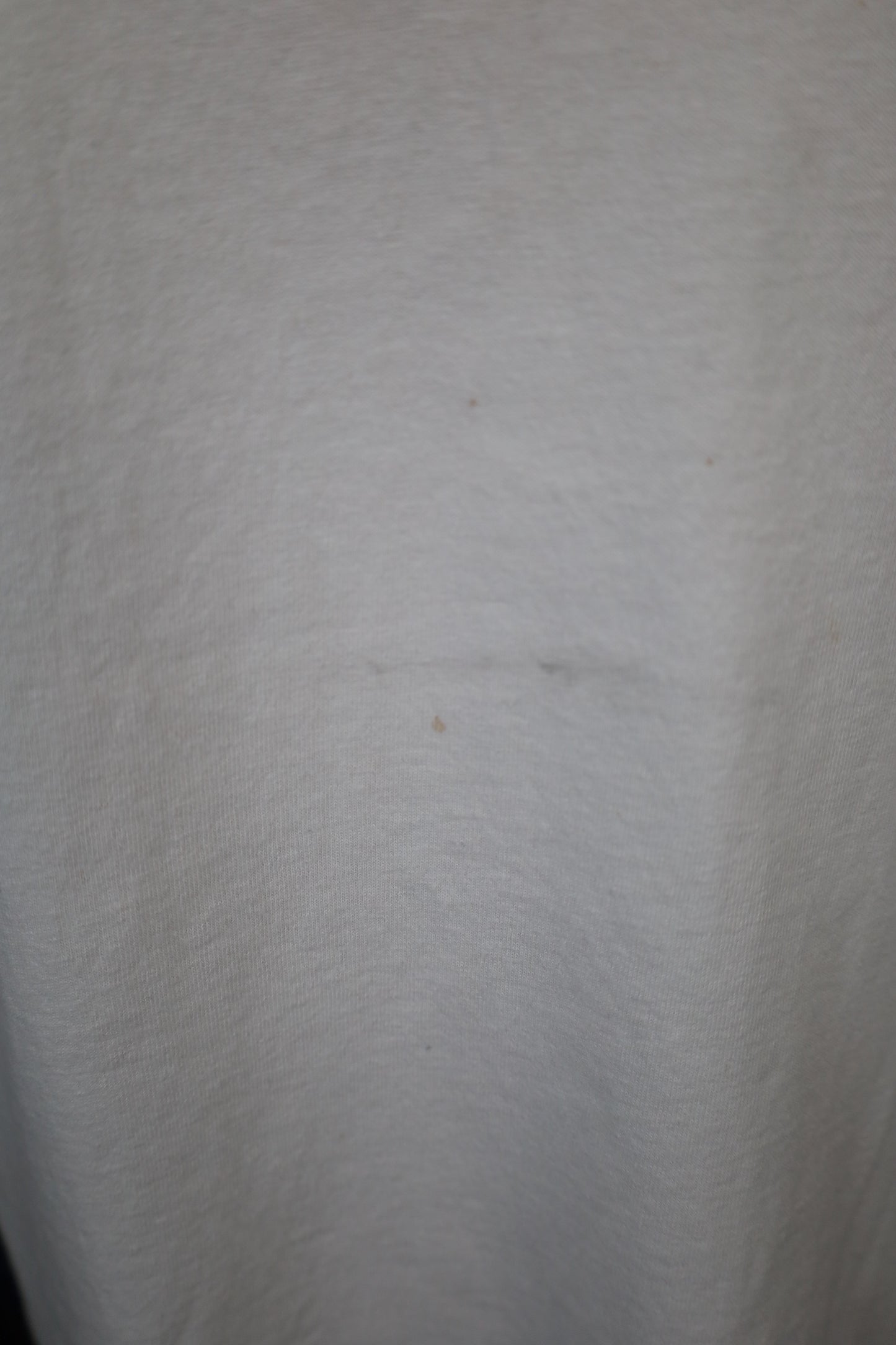 Z624 / early2000's GILDAN EL JUEZ tee
