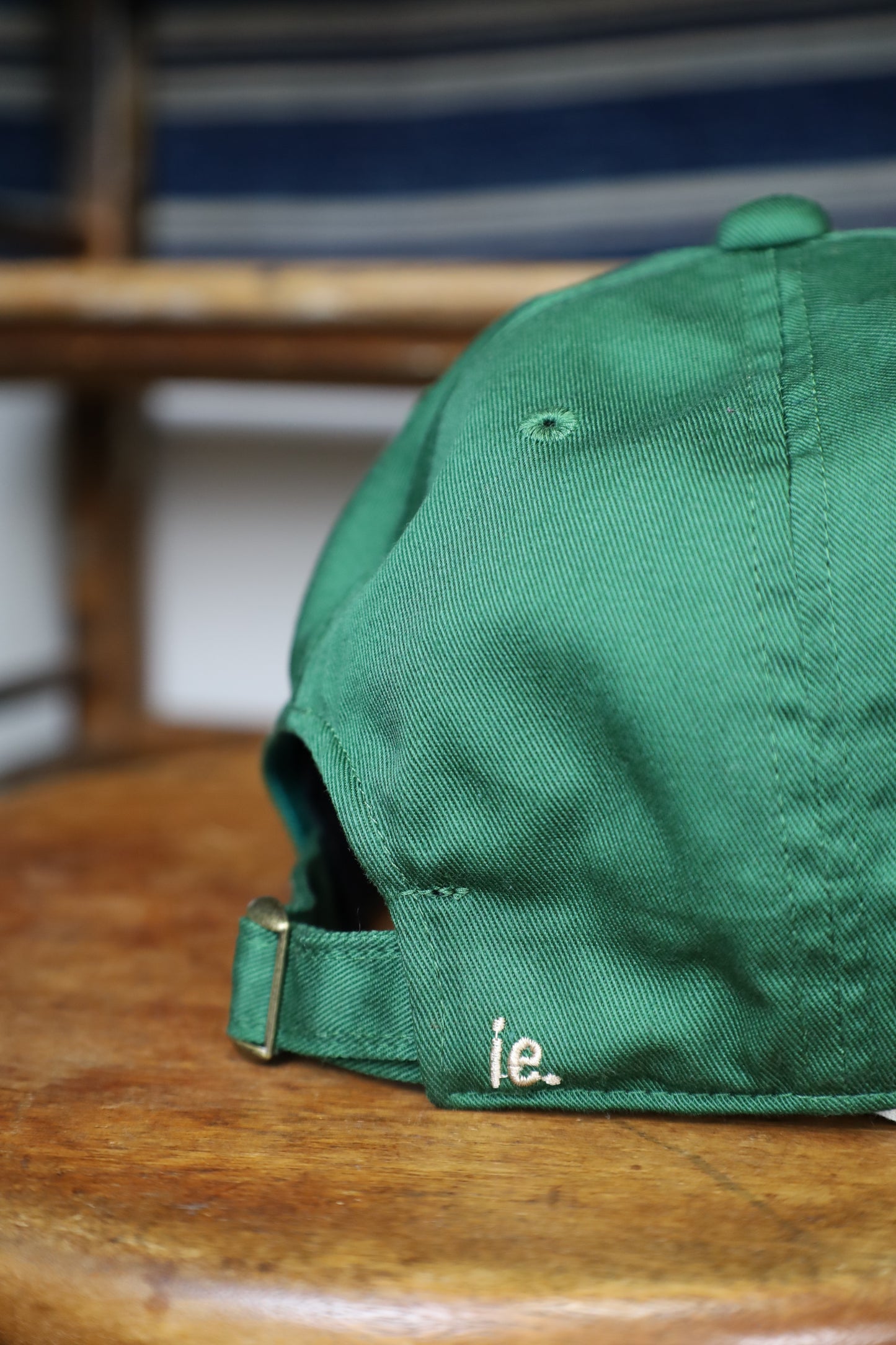 HOWIE HOW? CAP (green)