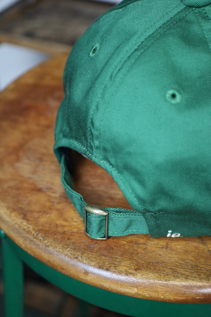 HOWIE HOW? CAP (green)