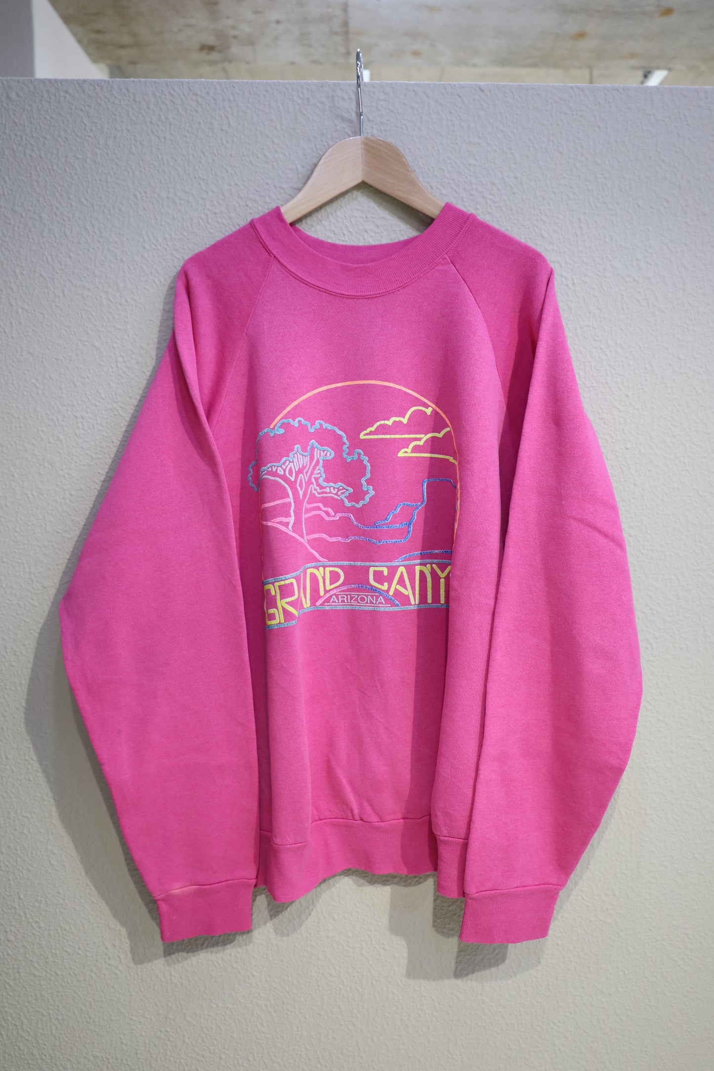 B1013 / 1990's ONEITA GRAND CANYON sweat