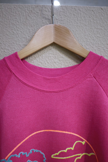 B1013 / 1990's ONEITA GRAND CANYON sweat