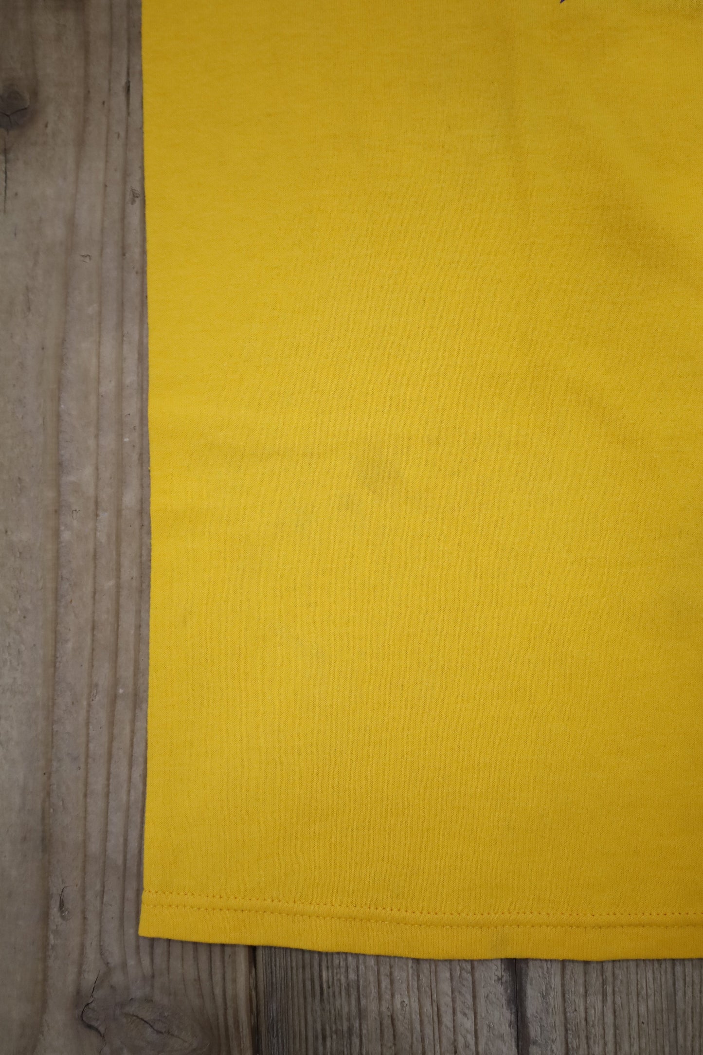 B861 / 1990's JERZEES print tee