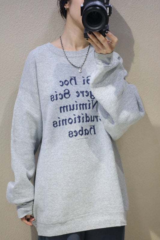 B1027 / early2000's FRUITS OF THE LOOM print sweat