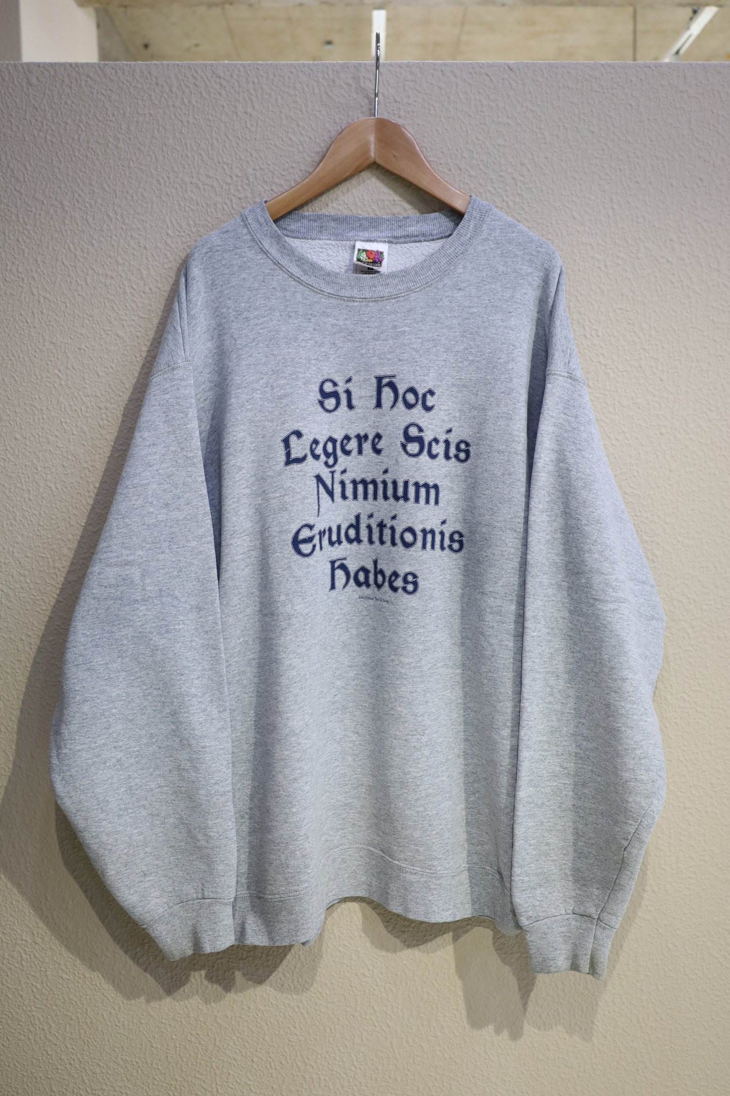 B1027 / early2000's FRUITS OF THE LOOM print sweat