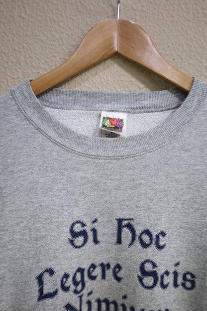 B1027 / early2000's FRUITS OF THE LOOM print sweat