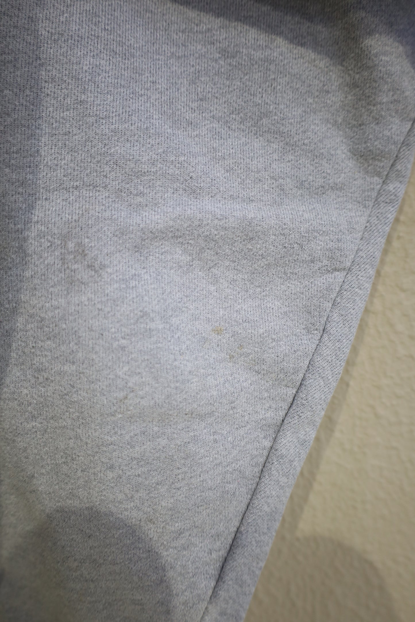 920 / early2000's Champion print sweat