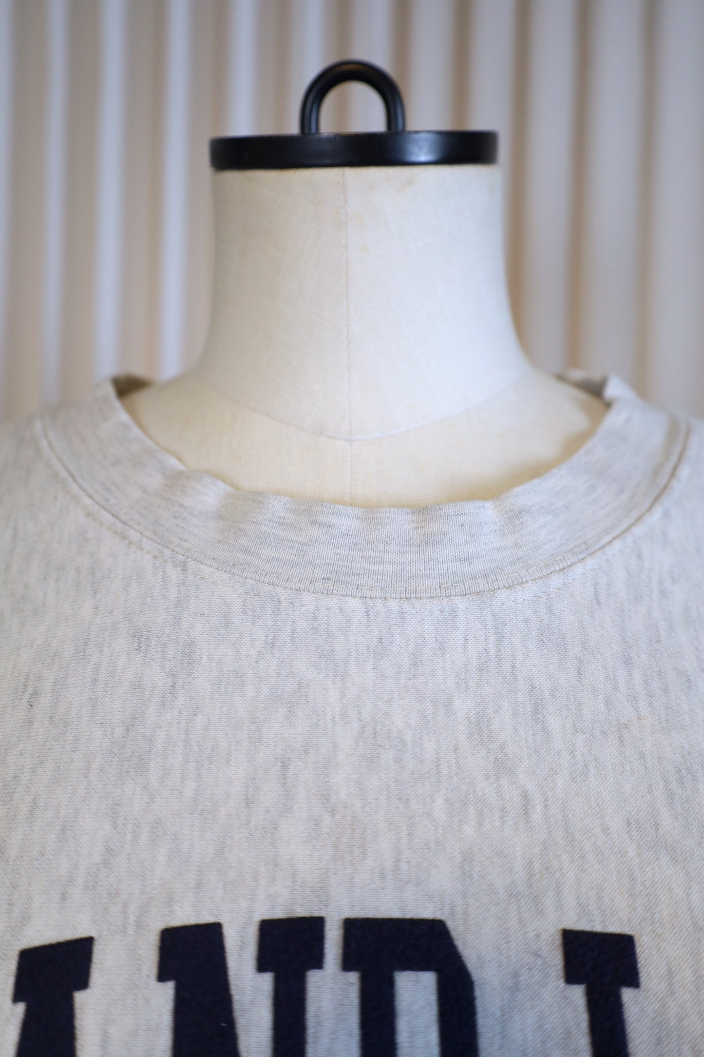 J43 / early2000's PRO-WEAVE GRAND LAKE print sweat