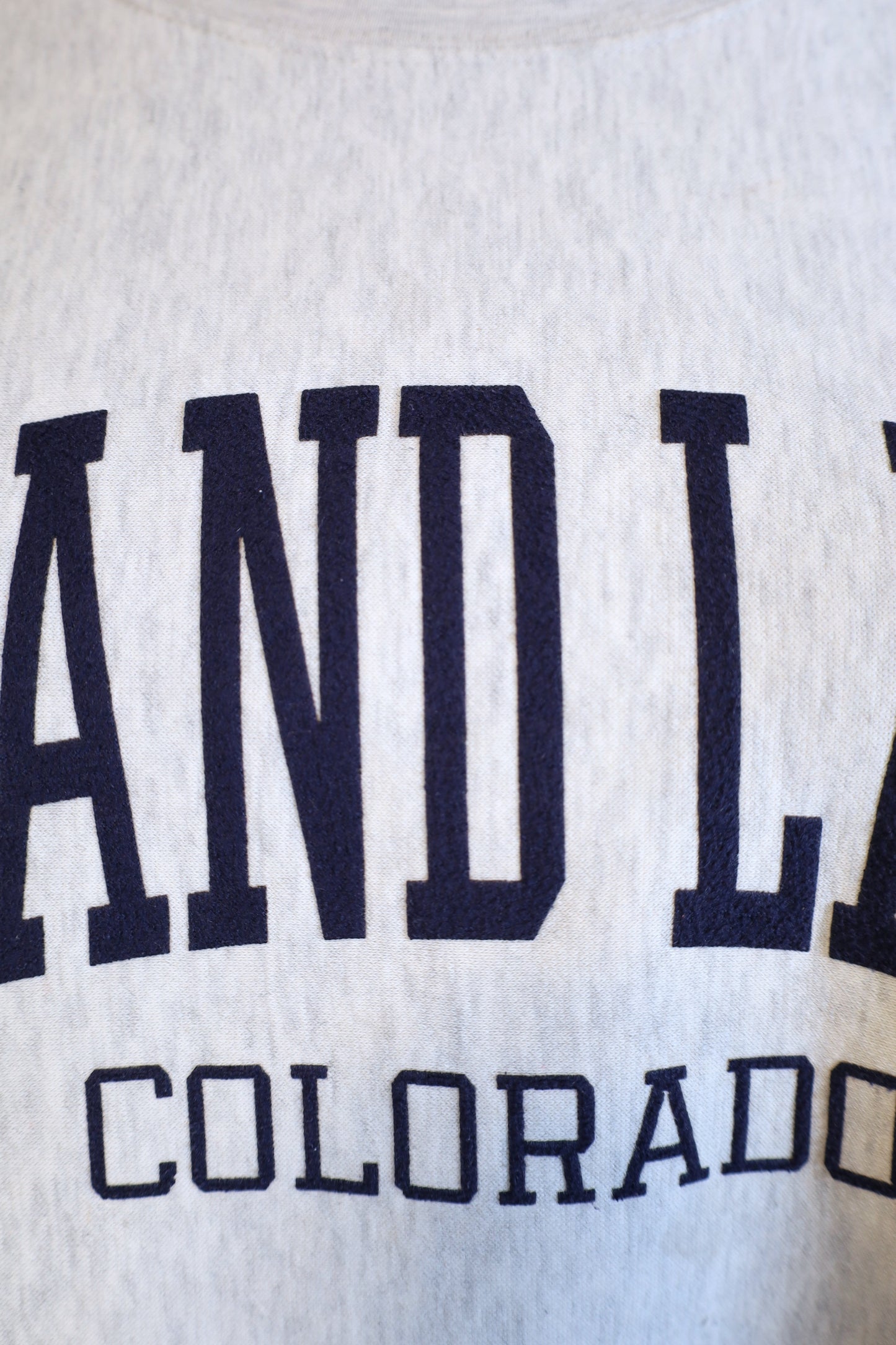 J43 / early2000's PRO-WEAVE GRAND LAKE print sweat